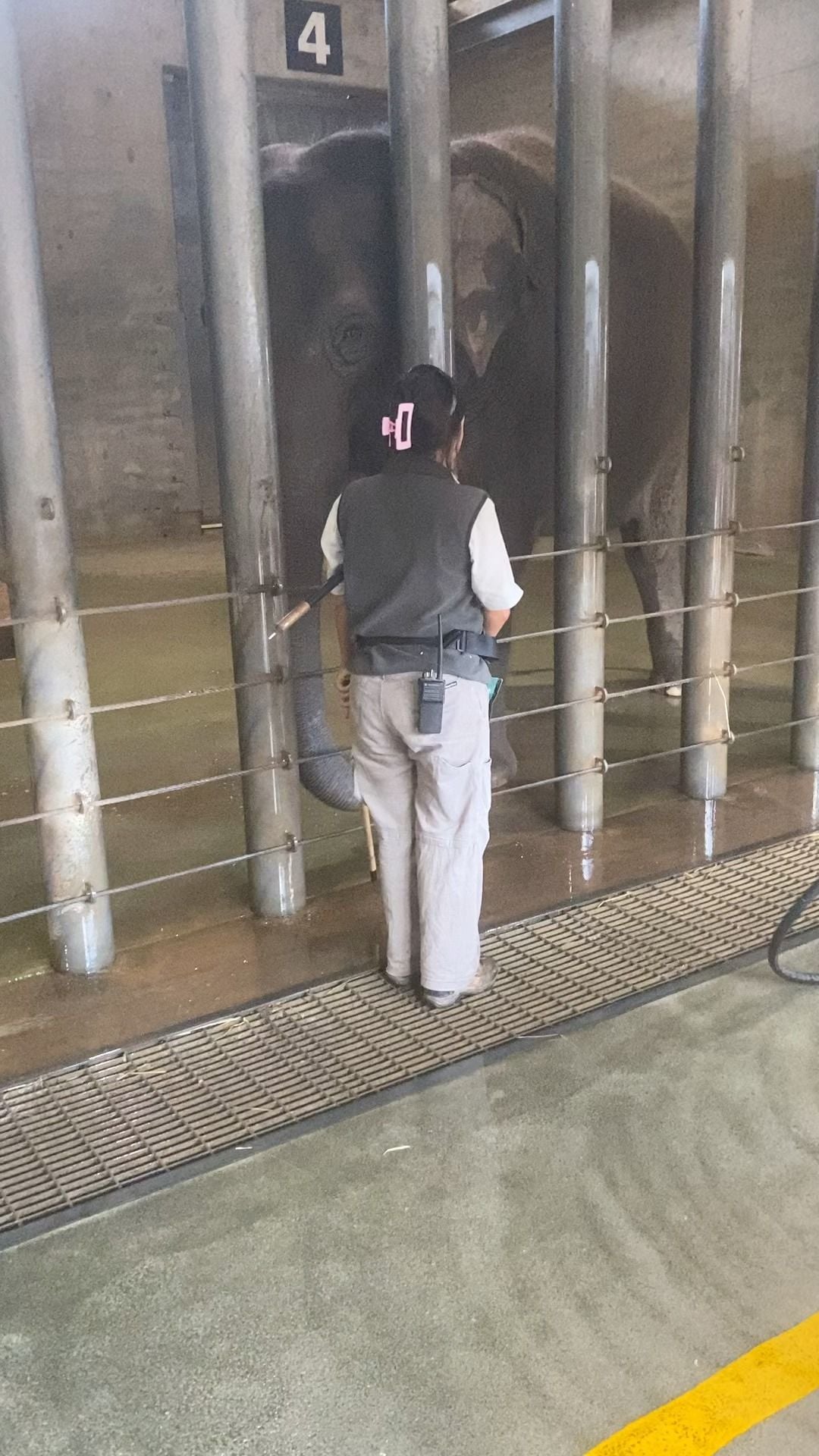 Dubbo Zoo 2025 Image -67de0470c63e8